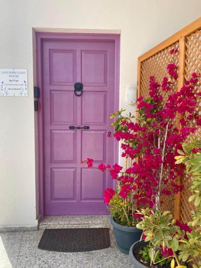 Lavender Homes, Walled City Famagusta  Exteriör bild